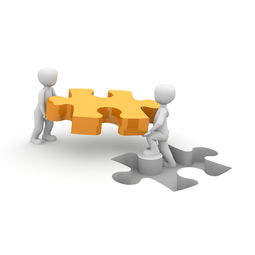 od体育官方平台入口-国家队教练团队协作存在的问题，教练员队伍建设